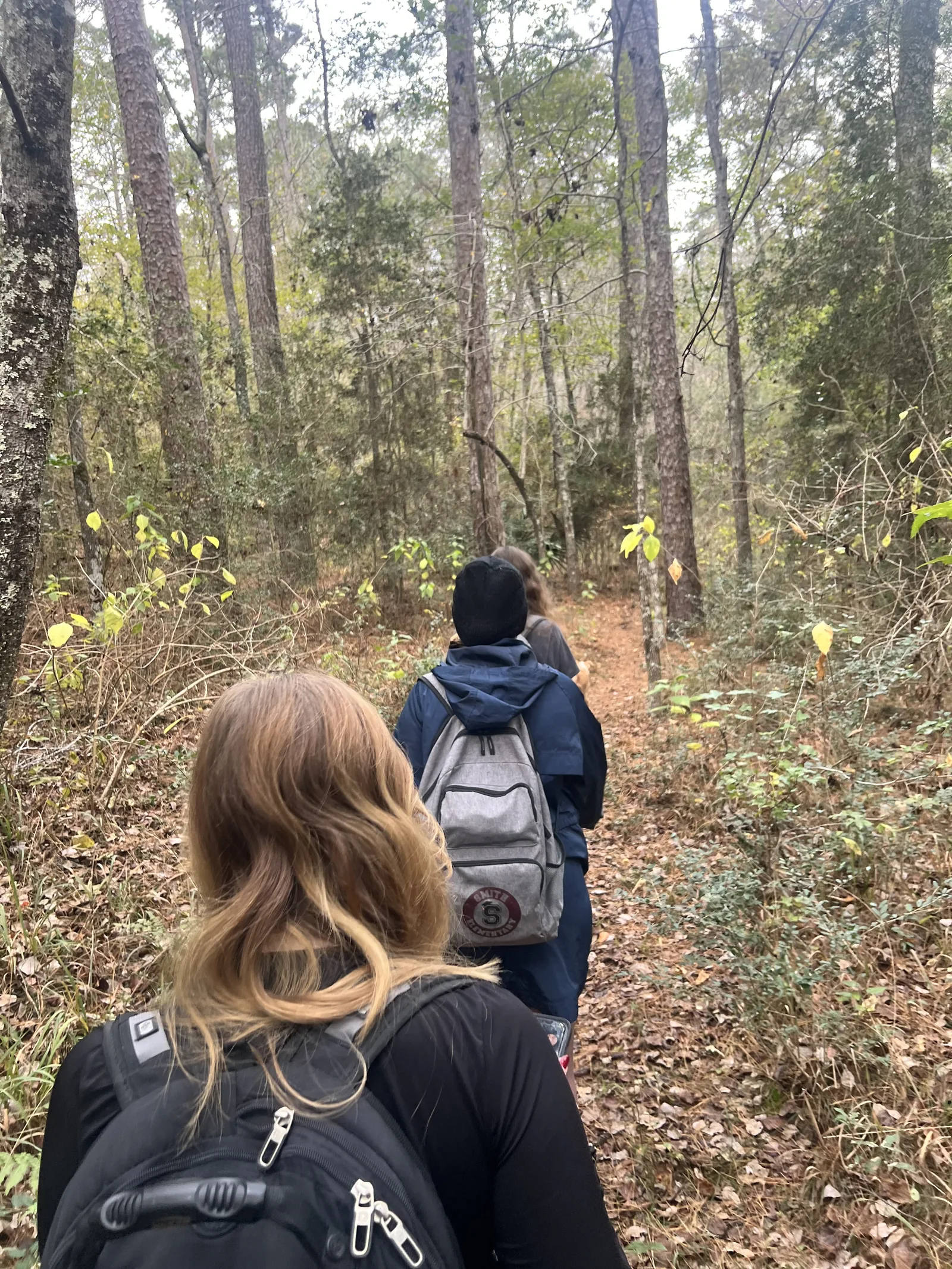 Two hikers walking along a wooded trail